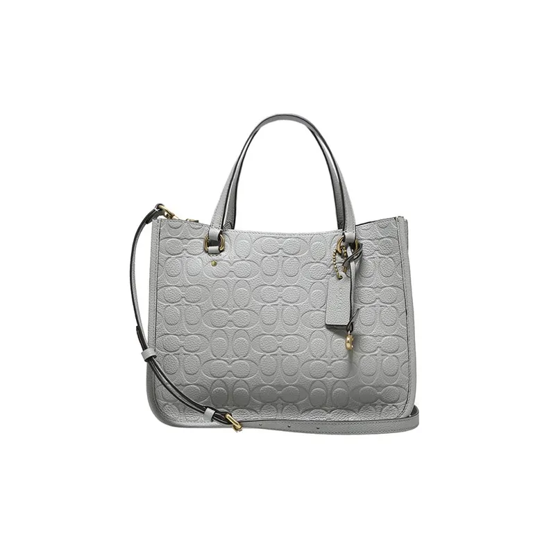 COACH Tyler Grained Calfskin One Shoulder Crossbody Bag, Crossbody Handbag Large Size Women's Gray-0