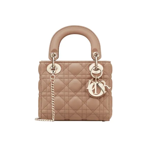 Lady DIOR Handbags