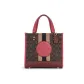 Bag+Dust Bag
