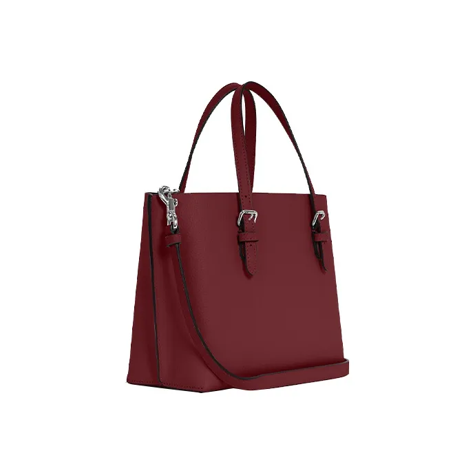 COACH Mollie Handbags-1