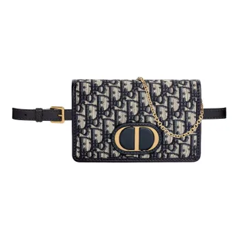 DIOR 30 Montaigne Fanny Packs