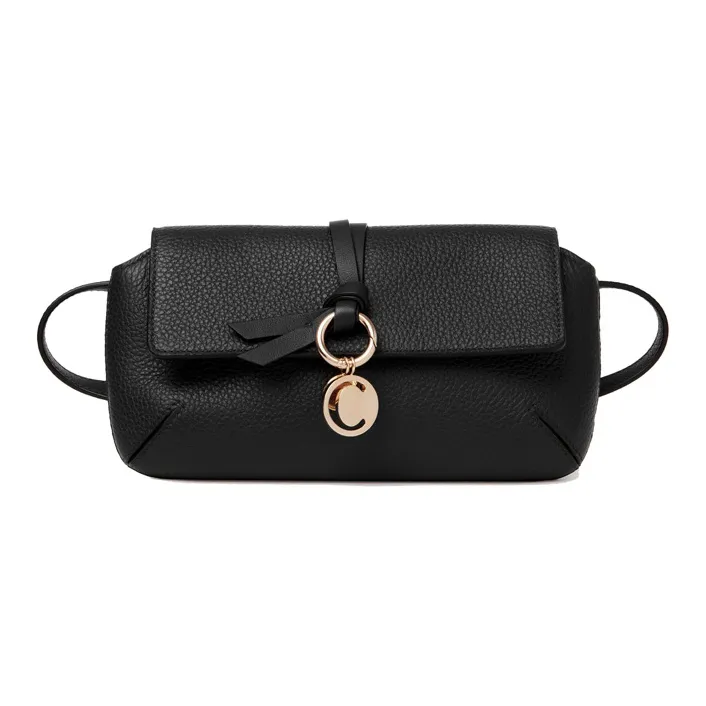 Chloé Bags Crossbody Bags-0