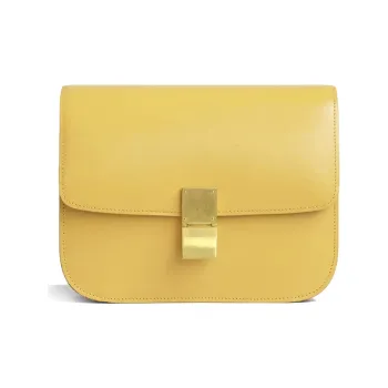 CELINE Classic Box Crossbody Bags