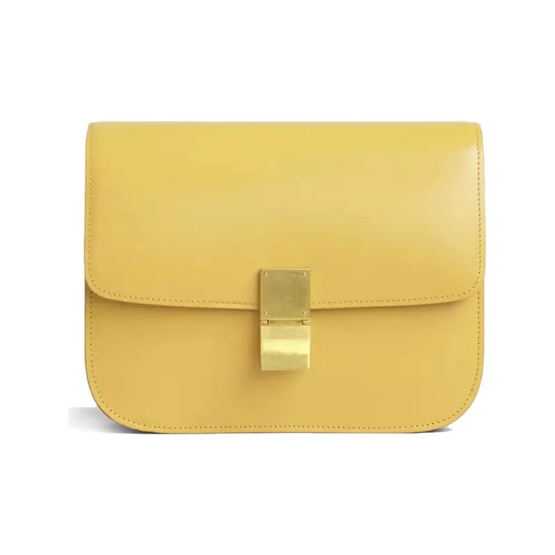 CELINE Classic Box Crossbody Bags-0