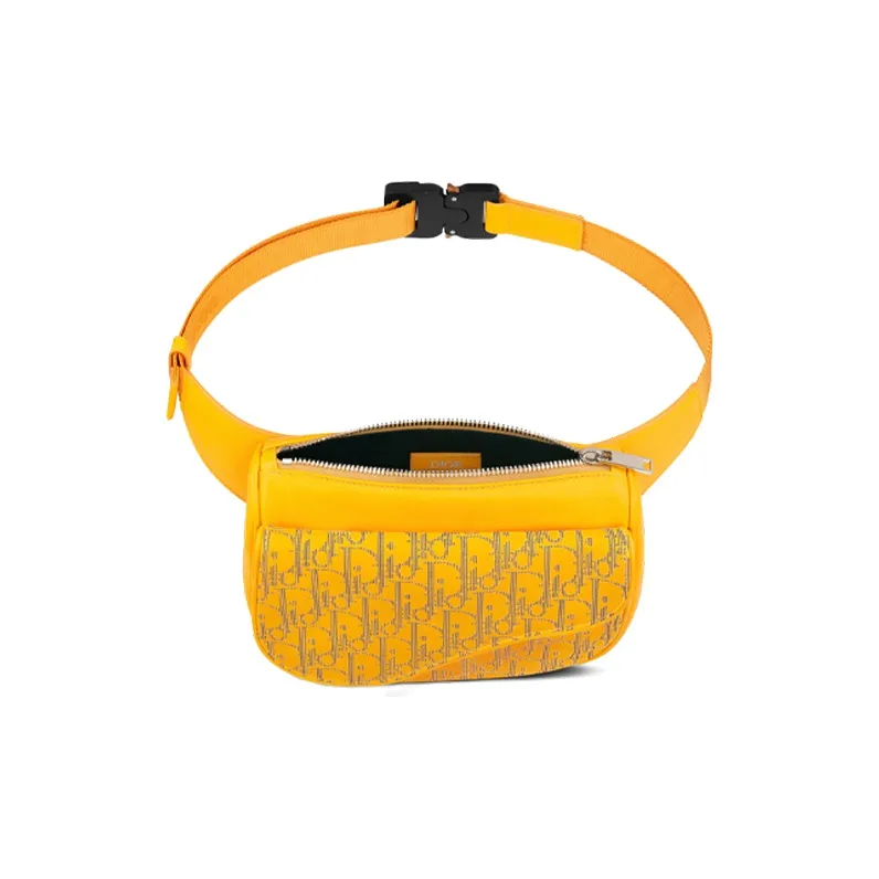 DIOR Saddle Fanny Packs-2