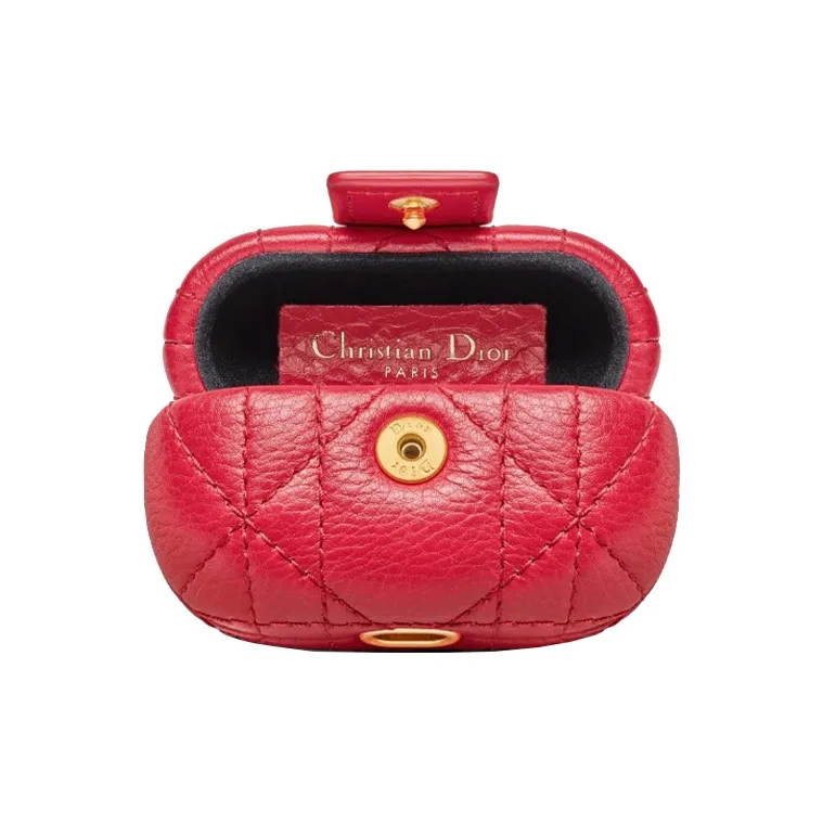 DIOR Caro Earphone Cases-3