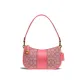 Bag+Dust Bag