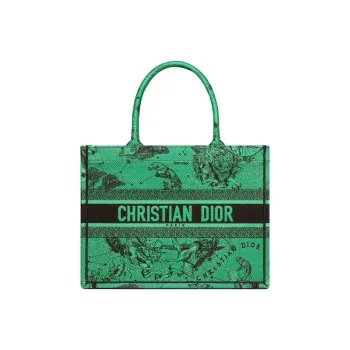 DIOR BookTote Handbags