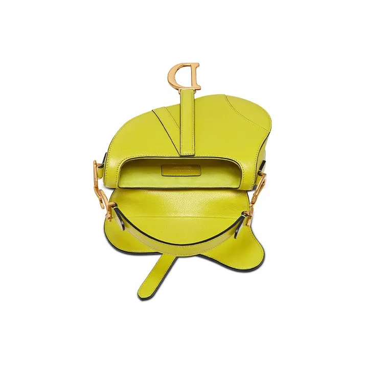 DIOR Sheepskin Saddle Bag Handbag, Shoulder Bag Women's Green Yellow-3