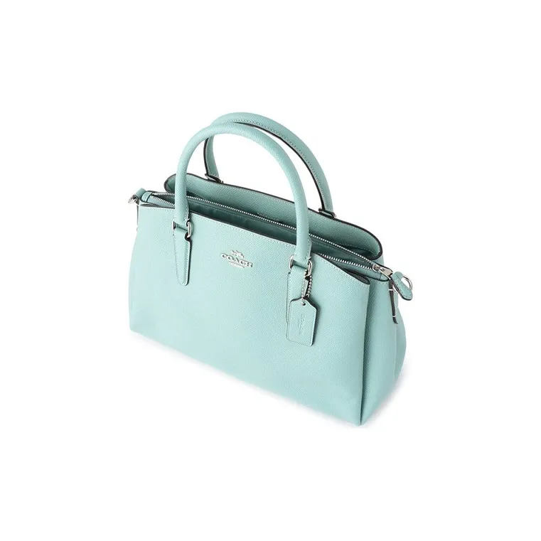COACH Sage Handbags-1