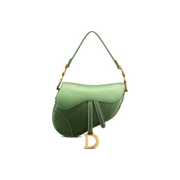 DIOR Saddle Cow Leather Saddle Bags Shoulder Bags Regular Women's Green-0