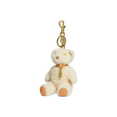 COACH Bag Accessories