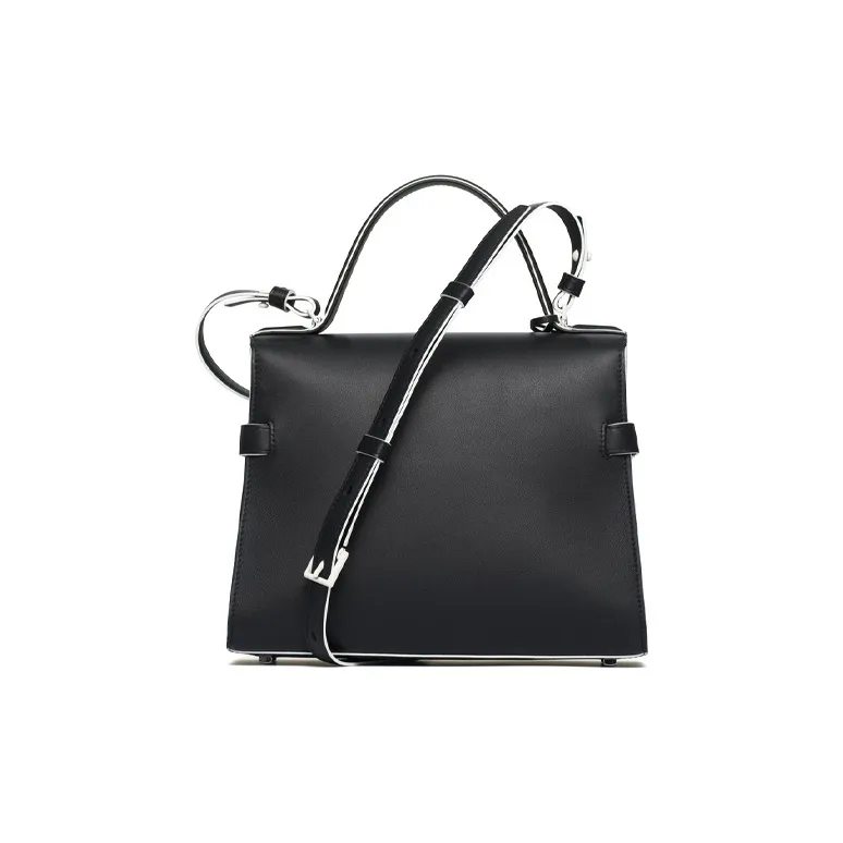 Delvaux Tempête Handbags-2