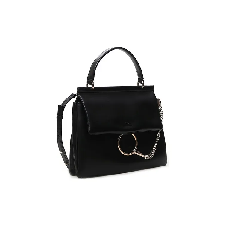 Chloé Faye Medium Shoulder Bag-1