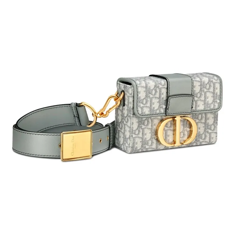 DIOR 30 Montaigne Collection Jacquard With Leather Box Bag, Shoulder Bag, Crossbody Bag Women's Gray-1