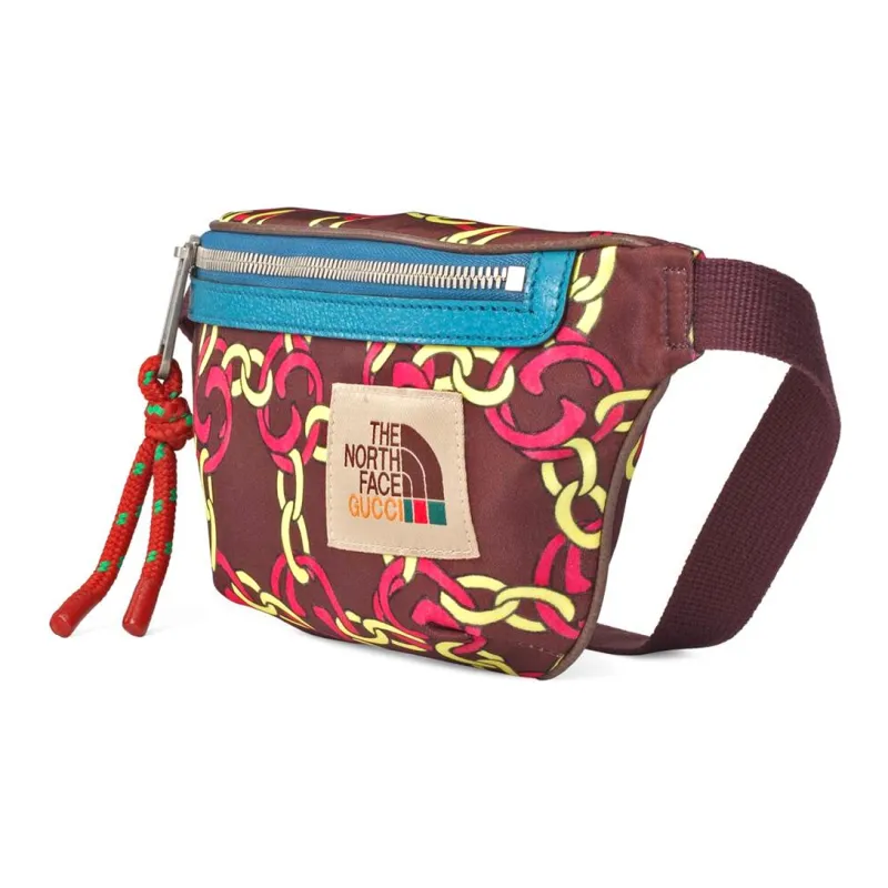 GUCCI The North Face Collaboration Recycled Nylon Fanny Pack Unisex Brown-1
