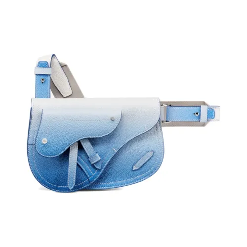 DIOR Saddle Clutches