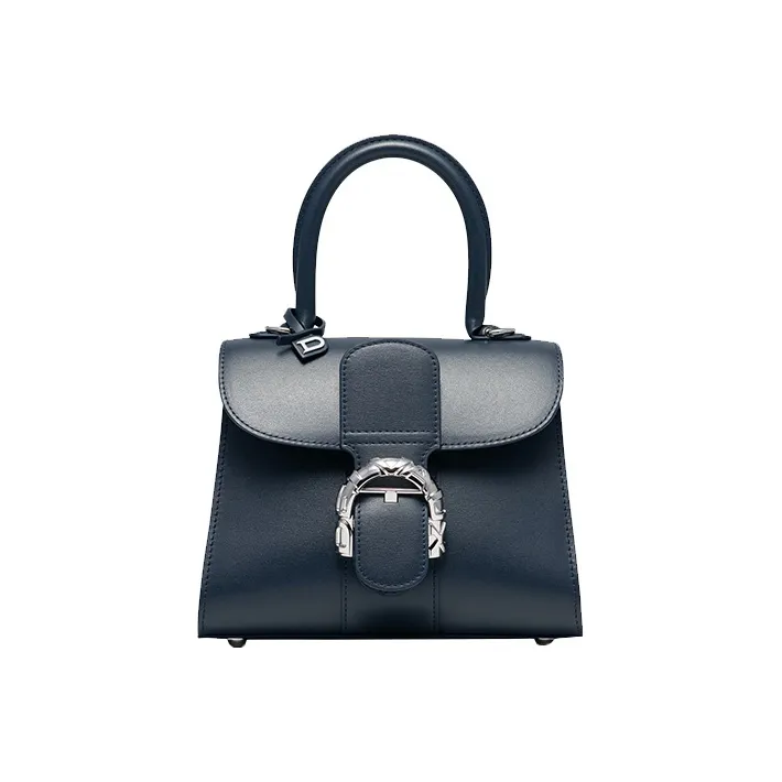 Delvaux Brillant Handbags-0