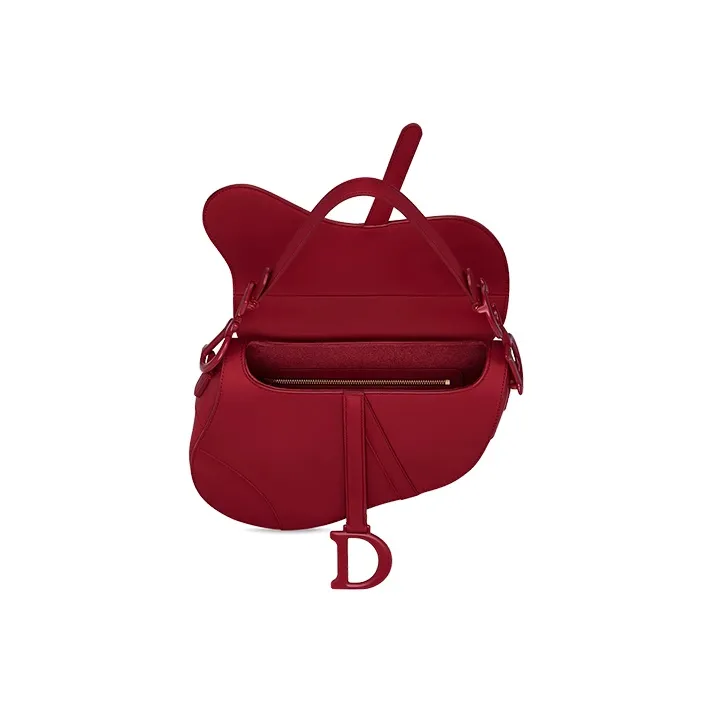 DIOR Saddle Handbags-3