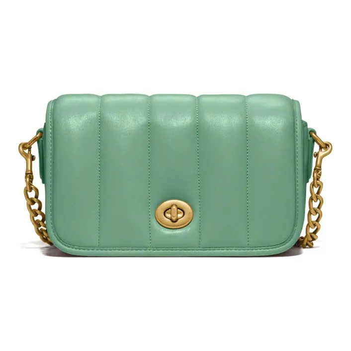 COACH Dinky Lambskin Leather Shoulder Bag, Crossbody Bag Small Size Women's Macaron Green-0