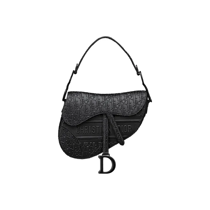 DIOR Saddle Handbags-0