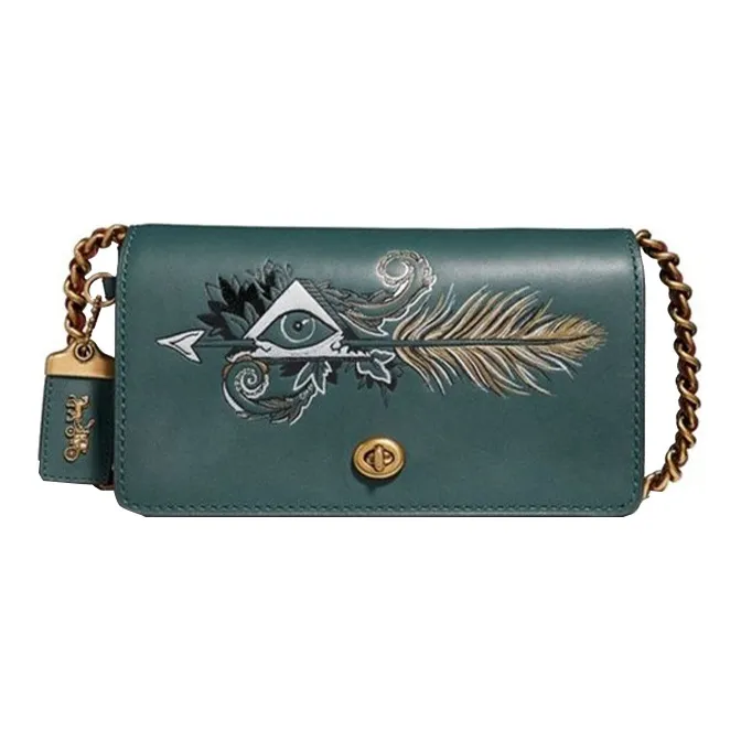 COACH Dinky Leather Crossbody Bag Medium Size Women's Green-0