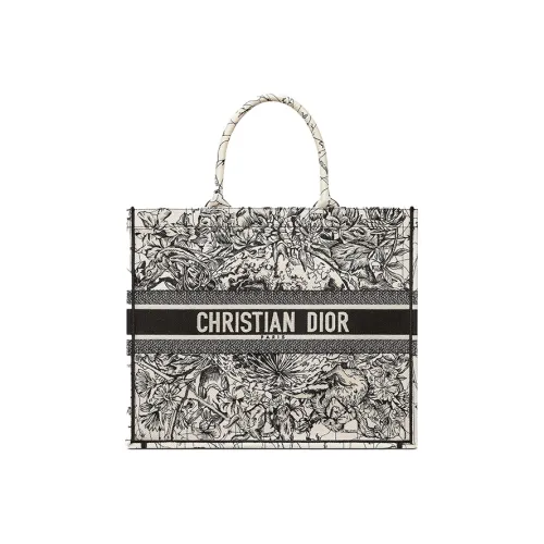 DIOR BookTote Handbags