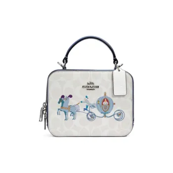 Disney X COACH Box Handbags