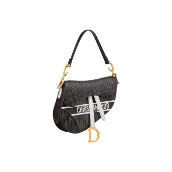 DIOR Saddle Handbags