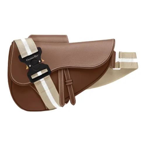 DIOR Saddle Sling Bags