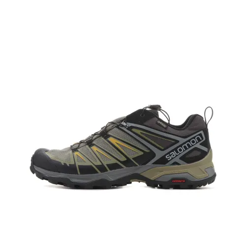 SALOMON X Ultra 3 GORE-TEX 'Castor Grey Green Sulphur'