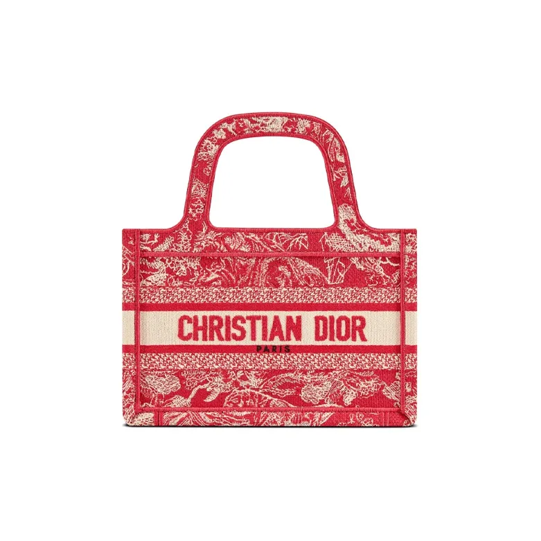 DIOR BookTote Handbags-0