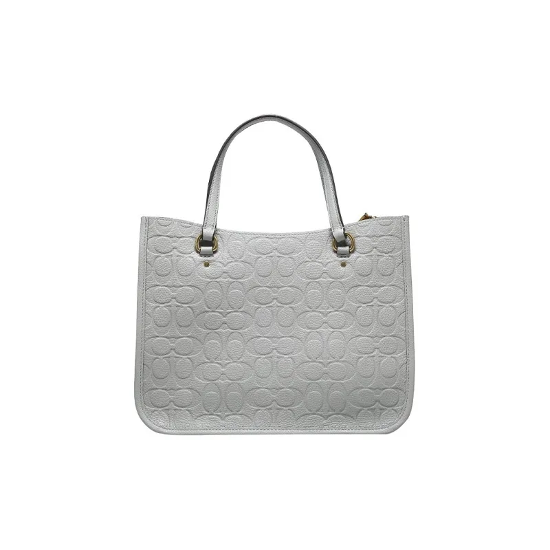 COACH Tyler Grained Calfskin One Shoulder Crossbody Bag, Crossbody Handbag Large Size Women's Gray-2
