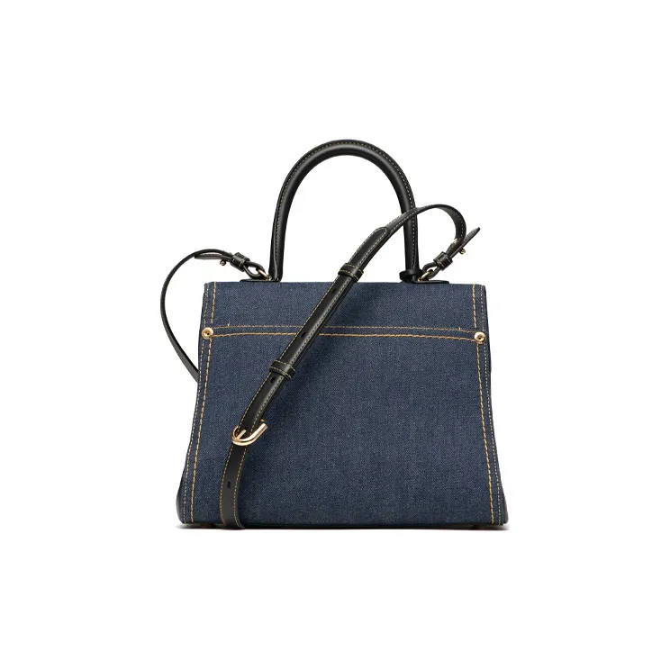 Delvaux Brillant Handbags-2