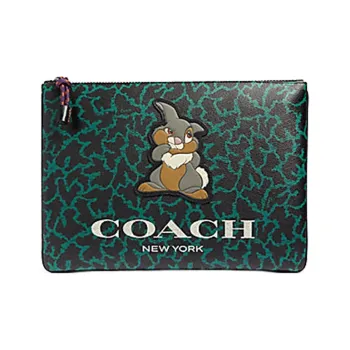 COACH X Disney Collaboration Coated Canvas With Calfskin Envelope Bag, Clutch Large Size Men's Dark Green