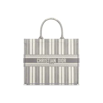 DIOR BookTote Handbags