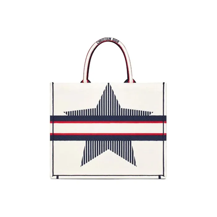 DIOR BookTote Handbags-1