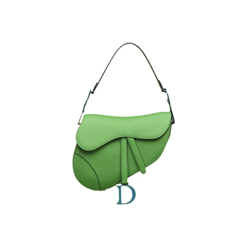 DIOR Saddle Handbags-0