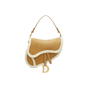 DIOR Saddle Shoulder Bags