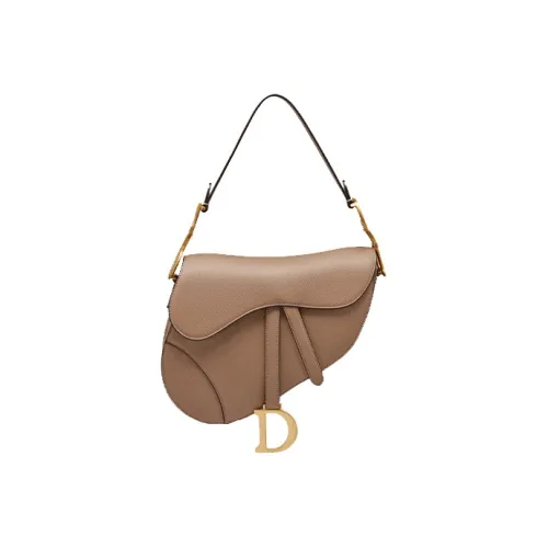 DIOR Saddle Handbags