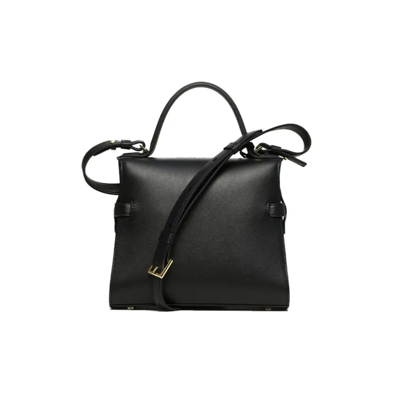 Delvau Tempête Soft Calfskin Handbag Small Size Women's Black-2