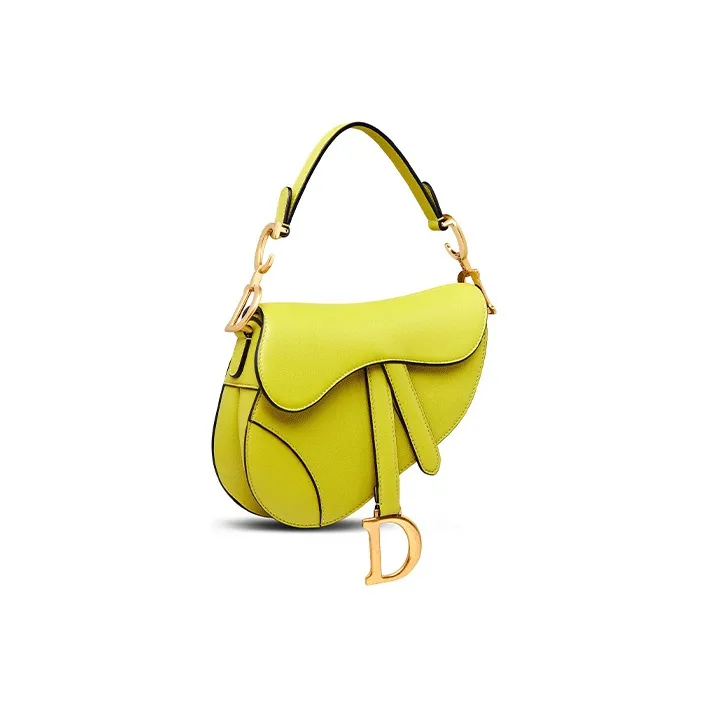 DIOR Sheepskin Saddle Bag Handbag, Shoulder Bag Women's Green Yellow-1