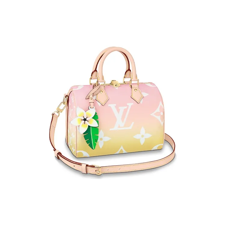 LOUIS VUITTON Speedy Bandouliere Gradient Pastel 25 Light Pink-0
