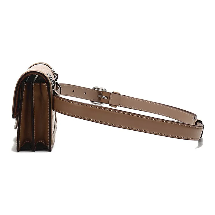 COACH Riley Leather Trunk Bag, Handheld, One Shoulder, Crossbody, Fanny Pack Small Size Women's Brown & Khaki Monogram-2