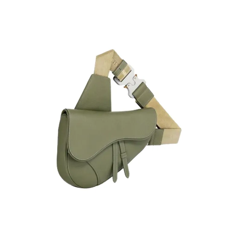 DIOR Saddle Crossbody Bags-1