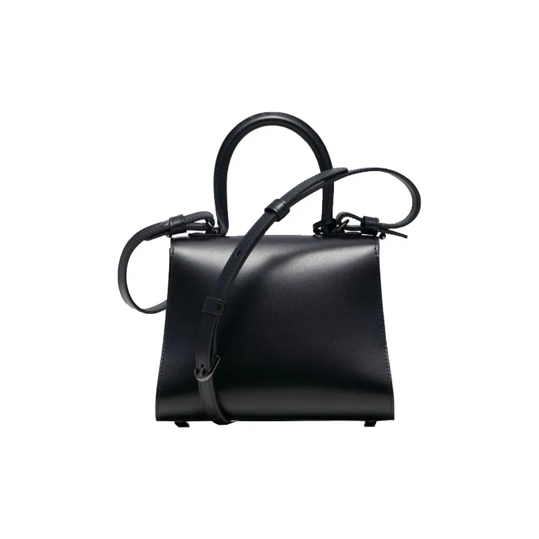 Delvaux Brillant Handbags-2