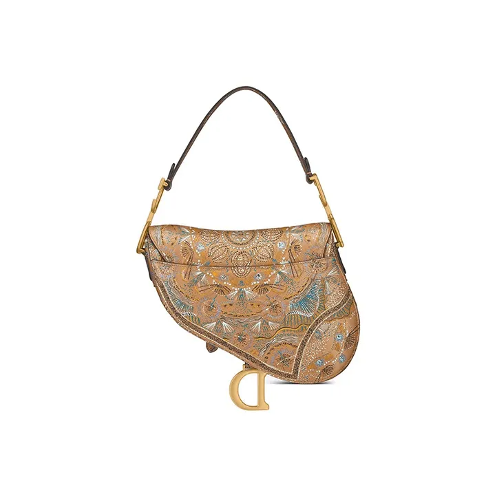 DIOR Saddle Handbags-2