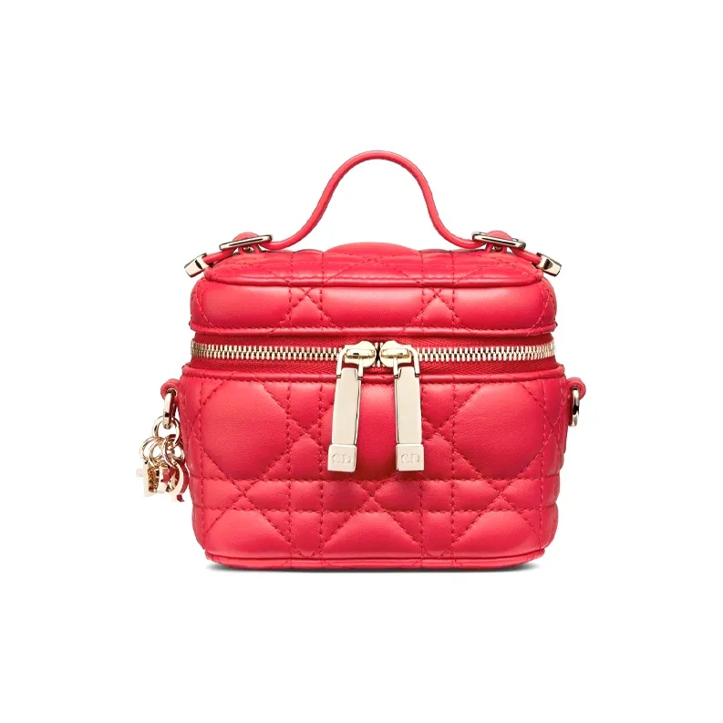 DIOR Lady DIOR Makeup Bags-0
