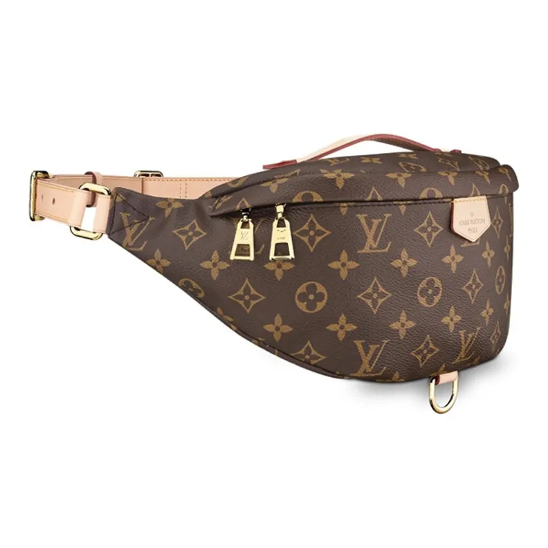 LOUIS VUITTON Bumbag Monogram Brown-1
