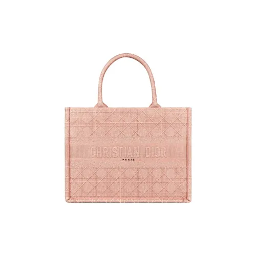 DIOR BookTote Handbags